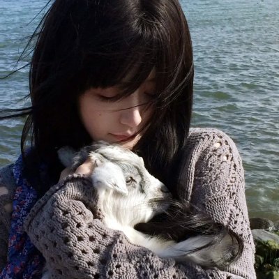 向上猴子