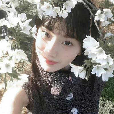 野良神第二季